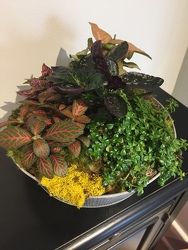 Indoor garden planter 