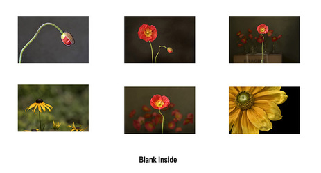 Floral Photography Card Set 2